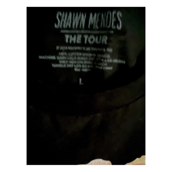 Shawn Mendes Vintage The Tour 2019 Concert Band Tee Rose Graphic T Shirt Size Lg - Picture 3 of 5